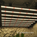 600W 8bar LED pliable LED Full Spectrum Lampe de culture